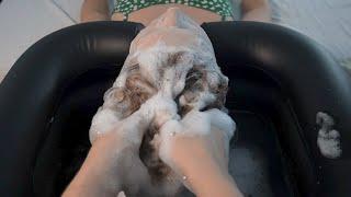 asmr hair wash and scalp massage *soapy tingles* no talking home spa