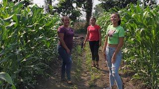 Mira que Chulada de Terreno venden  a 250000 Quetzales acto para vivir