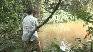 Real Adventure with Tomahawk "Amazonia": Part 1