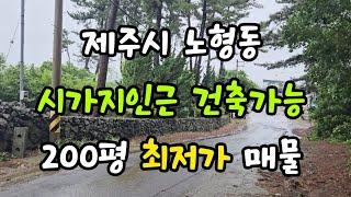 제주시 노형동 시가지인근 건축가능 200평 최저가 매물 010 4436 0401 제주도부동산 토지 매매  급매물