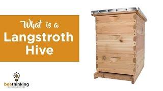 What Is a Langstroth Hive?