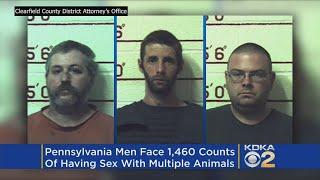3 Pa. Men Facing More Than 1,400 Counts Of Allegedly Having Sex With Dogs, Horses, Cow & A Goat