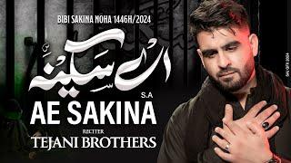 Bibi Sakina Noha 2024 | AE SAKINA | Tejani Brothers | 13 Safar Shahadat Bibi Sakina Noha 2024