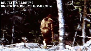 Dr. Jeff Meldrum - Bigfoot & Relict Hominoids COMPLETE INTERVIEW Sasquatch, Yeti, Grover Krantz