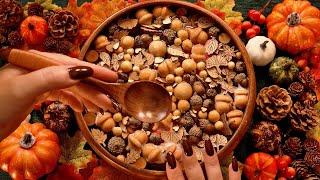 Autumnal Wooden Soup  ASMR  No Talking, Sounds Only, Fall Sounds for Sleep