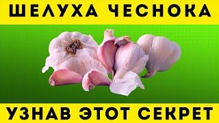 Что творит шелуха ЧЕСНОКА! Узнав этот СЕКРЕТ вы больше никогда не выбросите ЕГО! Даже ВРАЧИ в шоке …