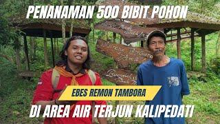 TANAM POHON BERSAMA DI “HARI LINGKUNGAN HIDUP SEDUNIA” DAN CERITA SINGKAT KALIPEDATI DARI EBES REMON