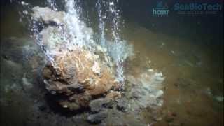 Submarine Kolumbo volcano, Santorini volcanic field, Greece (HCMR)