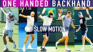 Best One-Handed Backhand Slow Motion Compilation (2024)