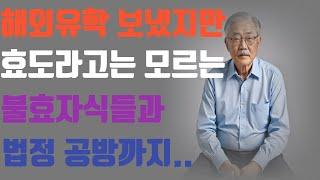 (실화사연) 유학까지 보낸 자녀들과 재산때문에 법정 다툼한 이야기
