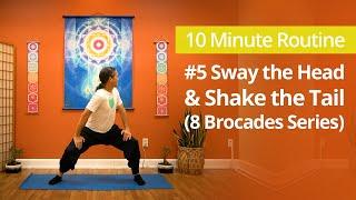 8 Brocades "Ba Duan Jin" #5: Sway the Head & Shake the Tail | 10 Minute Daily Routines #qigong
