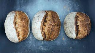 Can you bake sourdough bread with all-purpose flour? | Foodgeek