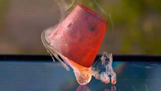 Molten Salt Explosion at 82,000 FPS - The Slow Mo Guys