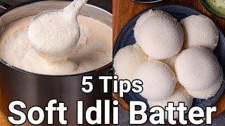 How to Make Soft Idli with 5 Basic Tips | Spongy Idli Batter with Wet Grinder - No Soda No Yeast