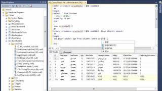 Stored Procedure در SQL Server