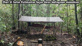 Camping 2hari tengah hutan Kalimantan hujan deras kedinginan mencekam