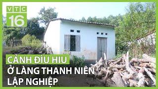 Cảnh đìu hiu ở làng thanh niên lập nghiệp | VTC16