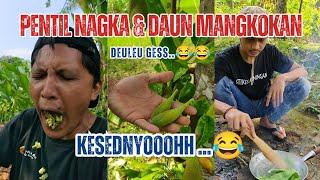 DAUN MANGKOKAN DAN PENTIL NANGKA BIKIN PETIS DAN RASANYA DILUAR DUGAAN