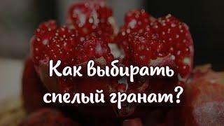 Как выбирать спелый гранат: три признака, на которые стоит обратить внимание