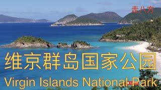 美属维京群岛国家公园(Virgin Islands National Park) 走八方 第145期 zou ba fang