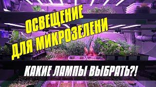 #МИКРОЗЕЛЕНЬ #РАССАДА МИКРОЗЕЛЕНЬ И РАССАДА | ПОДСВЕТКА ДЛЯ РАССАДЫ | ЛАМПЫ ДЛЯ РАССАДЫ | ФИТОЛАМПА