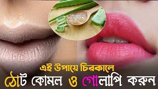 ১০০% কার্যকরীভাবে কালো ঠোঁট গোলাপি করার উপায় । দেখুন এখুনি । Get pink & soft lips easily.