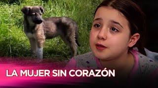 Abandonó Al Perro Herido En Un Bosque Desierto - Cachorro - Película Turca Doblaje Español