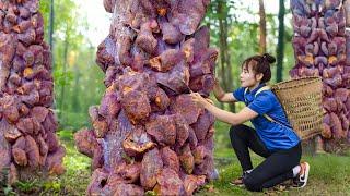 Harvesting Extremely rare Lim mushroom in deep forest Go To The Market Sell | The panacea