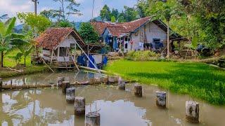 Rumah Pinggir Kolam Bikin Pikiran Tenang