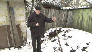 Биогумус - вместо минеральных удобрений - дикий навозный червь  зимой  «Сельский порядок»