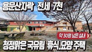 [양평전세 7천만원] 용문산 맑은자연 휴식 요양하기 좋은 전세매물/ 넓은 대지 넉넉한 주차공간, 30여평의 넓은 실내/ 등산, 산책, 명상하기 좋은 아름다운 자연속 조용한 입지