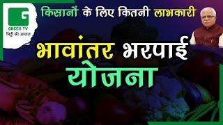 भावान्तर भरपाई योजना | Bhavantar Bharpai Yojana का विवरण आसान भाषा में | e-Kharid Haryana | Green TV