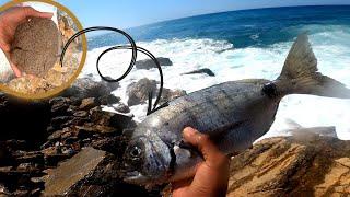 Fishing Trip / Make this easy bait and catch a huge number of different fish