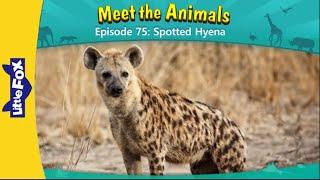 Meet the animals 75 | Spotted Hyena | Wild animals | Animated stories For kids