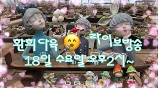 25. 6.18 환희다육 [Live ] 점빵문열어요 (010. 6258. 7152)  오이소 보이소 함께 즐기소예~~