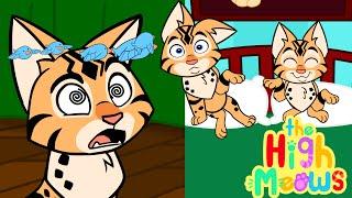 Five Little Cats Jumping on the Bed | Fun Nursery Rhymes by The High Meows