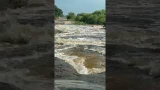В Сергеевке Благовещенского района уровень Амура превысил отметку опасного явления