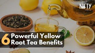 6 Powerful Yellow Root Tea Benefits Revealed: Uncover the Secret - Nifty Wellness