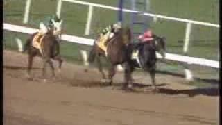 Top 10 Breeders Cup Moments