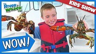 KIDS, LOBSTERS AND FUN | Tuna Fishing Adventure - YouTube for kids | RIVER AND WILDER SHOW