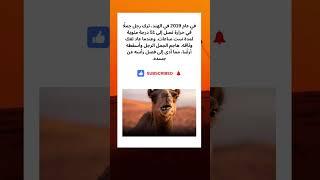 #قصص #قصص_واقعية #اكسبلور #حيوانات #عجائب #غرائب #كلاب #كلب #خيل #خيول #طبيعة #قطط #حصان #قطة #فرس