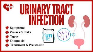 Urinary Tract Infection (UTI) | what is it and how to treat? | MedBoard