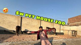 Meet app sw pet house zoo