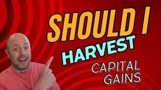 Should I Harvest Capital Gains?