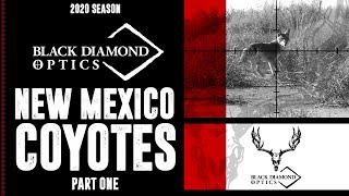 Black Diamond Optics - Predator Hunting in New Mexico - Part 1 - Gray Fox Kill