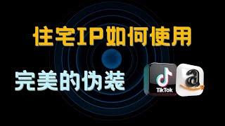 网赚必备的住宅IP使用方法，TikTok高要求环境搭建，注册ChatGPT Google Voice必备的网络环境丨