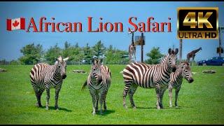  African Lion Safari,  Cambridge, ON, Canada - May 2024