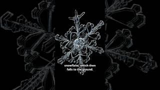 How snowflakes form ️