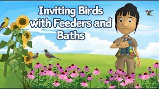 A WonderGrove for Birds: Inviting Birds With Feeders & Baths