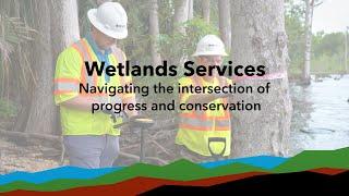 Wetlands Services - Navigating the intersection of progress and conservation